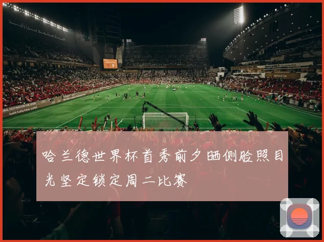 哈兰德世界杯首秀前夕晒侧脸照目光坚定锁定周二比赛