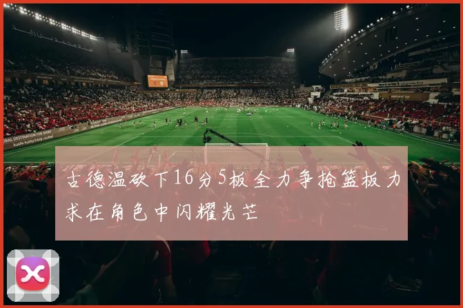 古德温砍下16分5板全力争抢篮板力求在角色中闪耀光芒